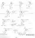 Fig. 06 - IL-17 ligands and uses thereof