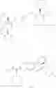 Fig. 596 - IL-17 ligands and uses thereof