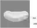Fig. 01 - BONE GRAFT COMPOSITION