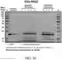 Fig. 33 - SYSTEMS AND METHODS FOR MANUFACTURING BIOLOGICALLY-PRODUCED PRODUCTS