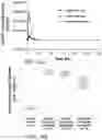 Fig. 45 - SYSTEMS AND METHODS FOR MANUFACTURING BIOLOGICALLY-PRODUCED PRODUCTS