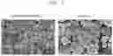 Fig. 02 - POSITIVE ACTIVE MATERIAL, PREPARATION METHOD THEREFOR, AND LITHIUM SECONDARY BATTERY HAVING POSITIVE ELECTRODE COMPRISING SAME