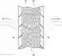 Fig. 01 - METHOD FOR MANUFACTURING FIBER-CONTAINING SHEET AND FIBER-CONTAINING SHEET