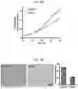 Fig. 22 - METHOD OF TREATING HER2-POSITIVE BREAST CANCER