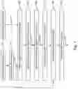 Fig. 02 - COMPUTER-IMPLEMENTED METHOD FOR GENERATING AN ANNOTATED PHOTOPLETHYSMOGRAPHY (PPG) SIGNAL