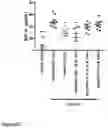 Fig. 28 - TREATMENT