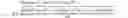 Fig. 02 - Device and method for measuring curvature radius