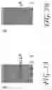 Fig. 04 - LONG POLY(A) PLASMIDS AND METHODS FOR INTRODUCTION OF LONG POLY(A) SEQUENCES INTO THE PLASMID
