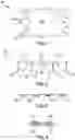 Fig. 02 - STAND FOR PEAKED ROOF AND THE LIKE