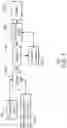 Fig. 02 - Enhancing 360-degree video using convolutional neural network (CNN)-based filter