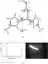 Fig. 04 - COMPOSITION AND METHOD FOR CATALYTIC REDUCTION OF CARBON DIOXIDE OR CARBOHYDRATE