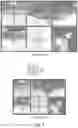 Fig. 02 - Video coding in relation to subpictures