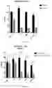 Fig. 04 - COMPOSITIONS AND METHODS FOR TREATING RETINITIS PIGMENTOSA
