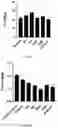 Fig. 09 - COMPOSITIONS AND METHODS FOR TREATING RETINITIS PIGMENTOSA