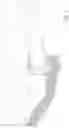 Fig. 04 - Painting and cleaning multi-tool