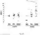 Fig. 02 - COMPOSITIONS AND METHODS FOR TREATING GLIOMA