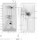Fig. 08 - Method for determining the position of a vehicle
