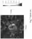 Fig. 07 - Optical display structure