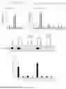 Fig. 32 - TAP63 REGULATED ONCOGENIC LONG NON-CODING RNAS