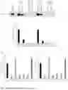 Fig. 33 - TAP63 REGULATED ONCOGENIC LONG NON-CODING RNAS