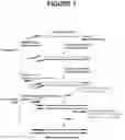 Fig. 02 - Methods and Compositions Employing Blocked Primers