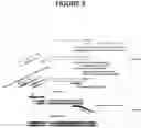 Fig. 06 - Methods and Compositions Employing Blocked Primers