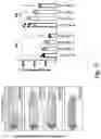 Fig. 22 - METHODS FOR INDUCING BIOSTASIS IN A CELL, TISSUE OR ORGAN
