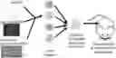 Fig. 01 - HIGH THROUGHPUT GENETIC BARCODING AND ANALYSIS METHODS