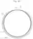 Fig. 25 - EXPANDABLE SHEATH FOR INTRODUCING AN ENDOVASCULAR DELIVERY DEVICE INTO A BODY