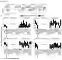 Fig. 03 - CTL PEPTIDE EPITOPES AND ANTIGEN-SPECIFIC T CELLS, METHODS FOR THEIR DISCOVERY, AND USES THEREOF