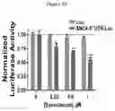 Fig. 12 - METHODS FOR INHIBITION OF ALPHA-SYNUCLEIN mRNA USING SMALL MOLECULES