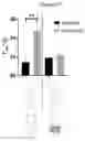Fig. 17 - METHODS FOR INHIBITION OF ALPHA-SYNUCLEIN mRNA USING SMALL MOLECULES
