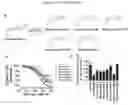 Fig. 18 - METHODS FOR INHIBITION OF ALPHA-SYNUCLEIN mRNA USING SMALL MOLECULES
