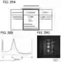 Fig. 30 - IMAGING DEVICE AND ELECTRONIC DEVICE