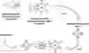 Fig. 01 - NEW BINDING AGENT AND ASSAY FOR PIVKA