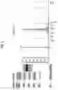 Fig. 02 - METHOD FOR MANUFACTURING INDUCED PLURIPOTENT STEM CELLS