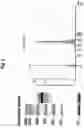 Fig. 04 - METHOD FOR MANUFACTURING INDUCED PLURIPOTENT STEM CELLS