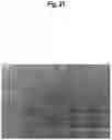 Fig. 22 - METHOD FOR MANUFACTURING INDUCED PLURIPOTENT STEM CELLS