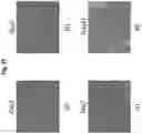 Fig. 28 - METHOD FOR MANUFACTURING INDUCED PLURIPOTENT STEM CELLS