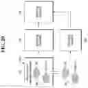 Fig. 28 - Wafer defect test apparatus, wafer defect test system, wafer test method and fabrication method of a wafer