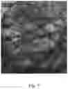 Fig. 08 - Dairy purification mixture