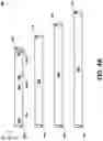 Fig. 08 - Waveguide diffusers for LIDARs