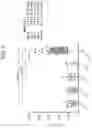 Fig. 09 - INTER-ALPHA INHIBITOR PROTEINS