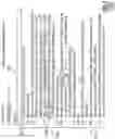 Fig. 08 - Capturing Detailed Structure from Patient-Doctor Conversations for Use in Clinical Documentation