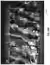 Fig. 64 - THERMAL INTERFACE LAYER