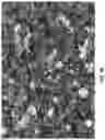Fig. 69 - THERMAL INTERFACE LAYER
