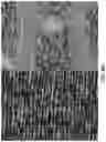 Fig. 76 - THERMAL INTERFACE LAYER
