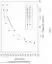 Fig. 08 - Method for enhancing expression of insulin like growth factor 1 receptor in umbilical cord mesenchymal stem cell expressing IGF1R and method for obtaining multipotent umbilical cord mesenchymal stem cell