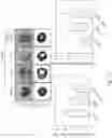 Fig. 43 - Method for enhancing expression of insulin like growth factor 1 receptor in umbilical cord mesenchymal stem cell expressing IGF1R and method for obtaining multipotent umbilical cord mesenchymal stem cell