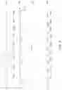 Fig. 06 - Subtitle splitter